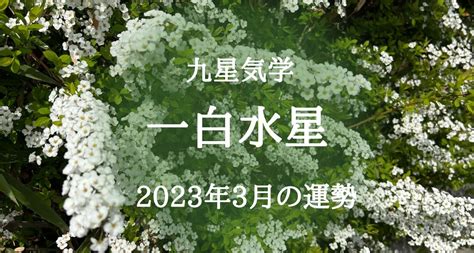 一白水星 2023|一白水星 2023年の運勢と年間バイオリズム 